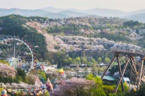  Hanoi - Seoul - Nami Island - Everland Theme Park
