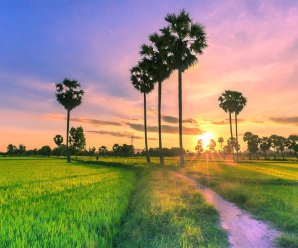 The 5th international festival of Vietnamese traditional martial arts – Binh Dinh 2014 to take place in August